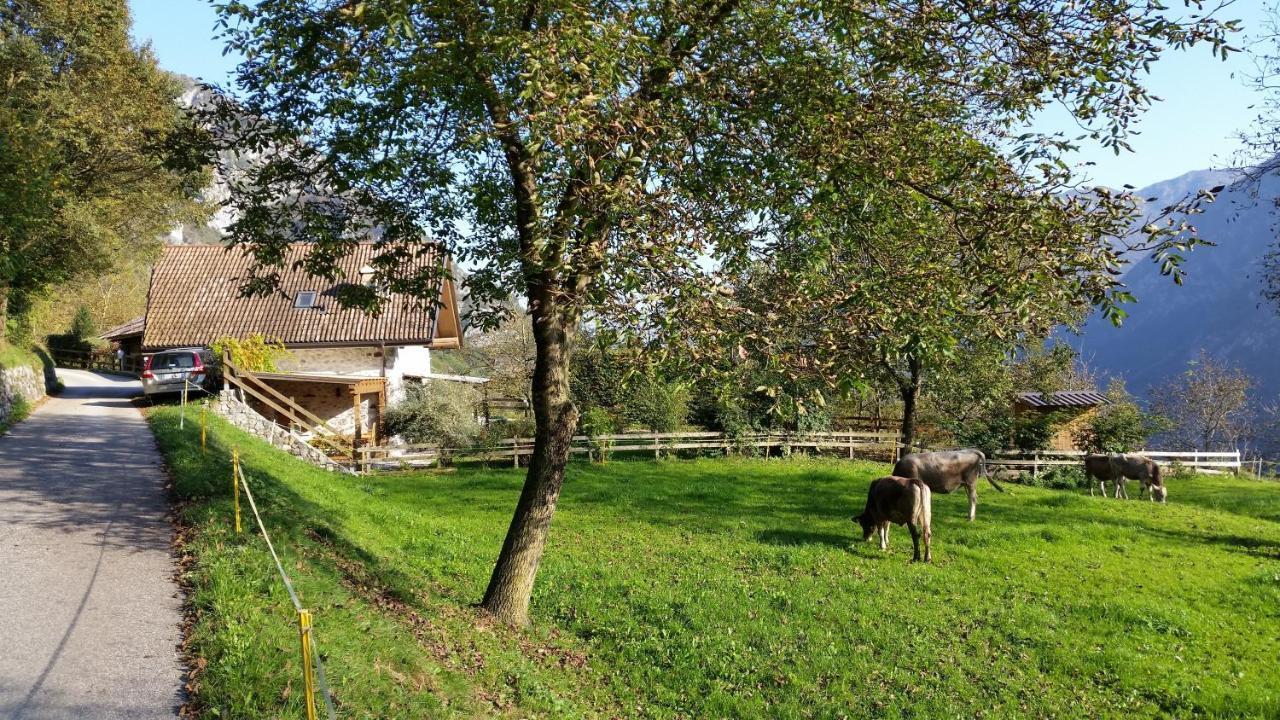 Chalet La Nos Molina di Ledro Szoba fotó
